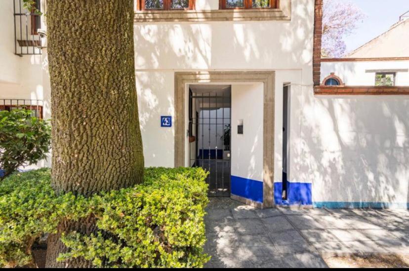 Siete Puertas Coyoacan Мехіко Екстер'єр фото